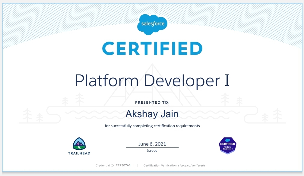 Platform Developer 1